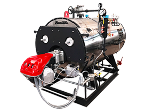 generador de vapor
